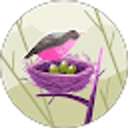 Profile photo of Nicky Marthe Pierre