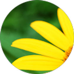 Profile photo of K Ovalle