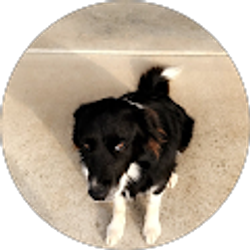 Profile photo of Mason Ishee