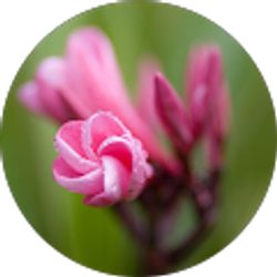 Profile photo of Sam W