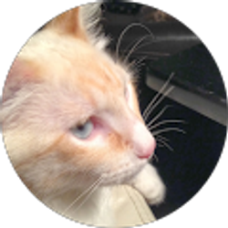 Profile photo of Bettie Price