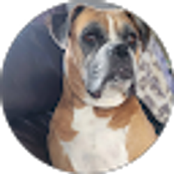 Profile photo of James Moore