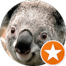 Profile photo of Nicholas Cox