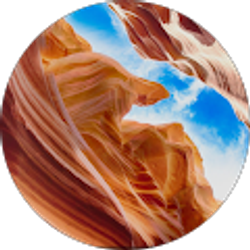 Profile photo of Iliana Mikhova