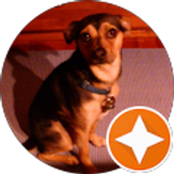 Profile photo of Kathy Stevenson