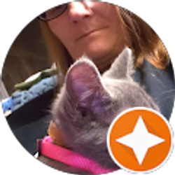 Profile photo of tammy hodge