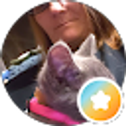 Profile photo of tammy hodge