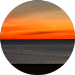 Profile photo of Shawn MacAuley