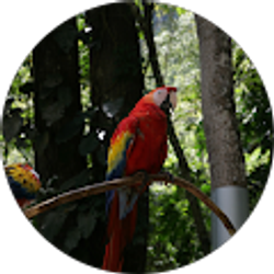 Profile photo of Marcelo Guerrero