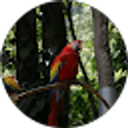Profile photo of Marcelo Guerrero