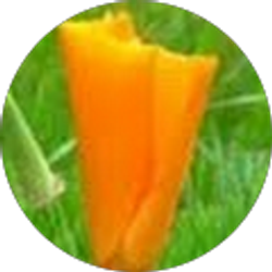 Profile photo of Elizabeth Ames