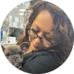 Profile photo of Fabiola Netro