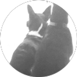 Profile photo of Joy Baskins