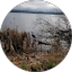 Profile photo of Entela Leshica