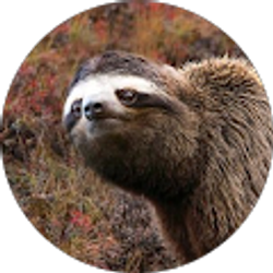 Profile photo of kory jenkins