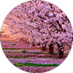 Profile photo of Rosita 15