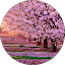 Profile photo of Rosita 15