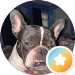 Profile photo of Kristina Banks