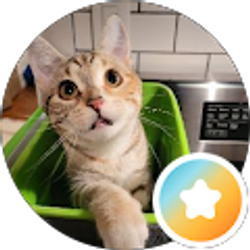 Profile photo of Amy E