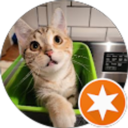 Profile photo of Amy E