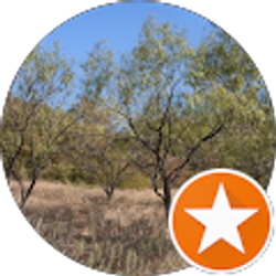 Profile photo of S Hood