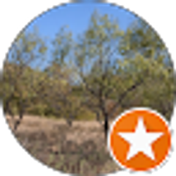 Profile photo of S Hood