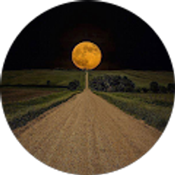 Profile photo of Max Kharab