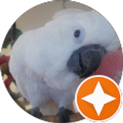 Profile photo of Victoria Platt