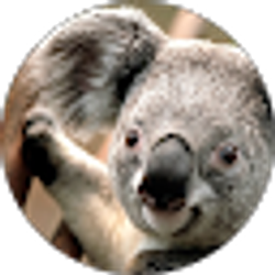 Profile photo of nicole kendricks