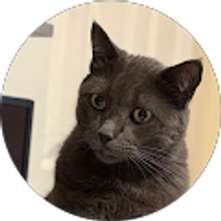 Profile photo of Pauline Pritchett