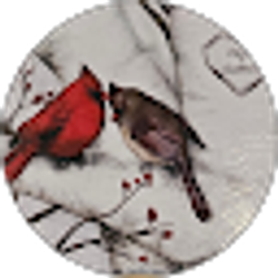 Profile photo of D R C