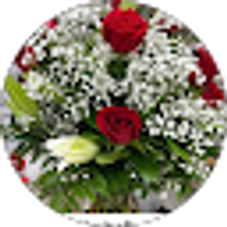 Profile photo of Luz Marina Cabrera