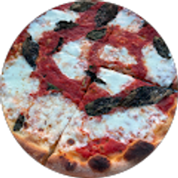 Profile photo of Spen