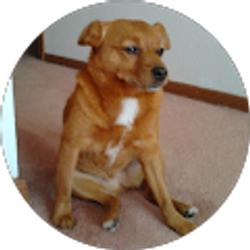 Profile photo of Martin Yee