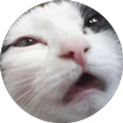 Profile photo of D Berry