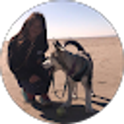 Profile photo of Bruce Reh