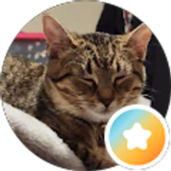 Profile photo of Kelci Moore