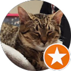 Profile photo of Kelci Moore