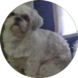 Profile photo of jesse rivera