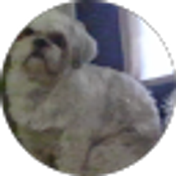 Profile photo of jesse rivera