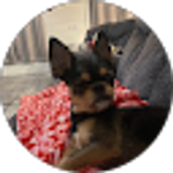 Profile photo of Mackalee Kuntz (Mackalee Kuntz)