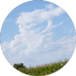 Profile photo of Naomi Curtis