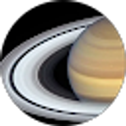 Profile photo of m lee