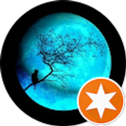 Profile photo of Terry Brown