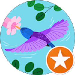 Profile photo of Treva Kirkley