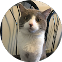 Profile photo of Edilberto Cruz