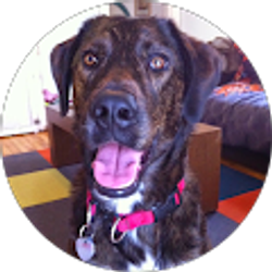 Profile photo of Kristen Kvalsten