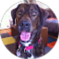 Profile photo of Kristen Kvalsten