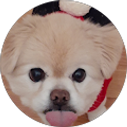 Profile photo of Melissa Berkebile