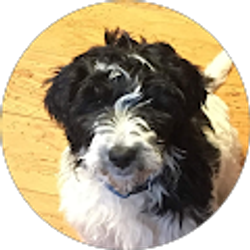 Profile photo of Heather Royer